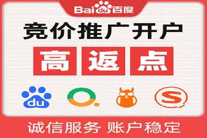 关键词竞价排名实战案例精选解析